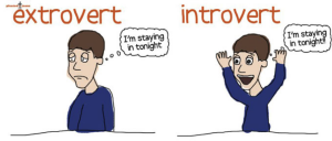 introvert/ extrovert
