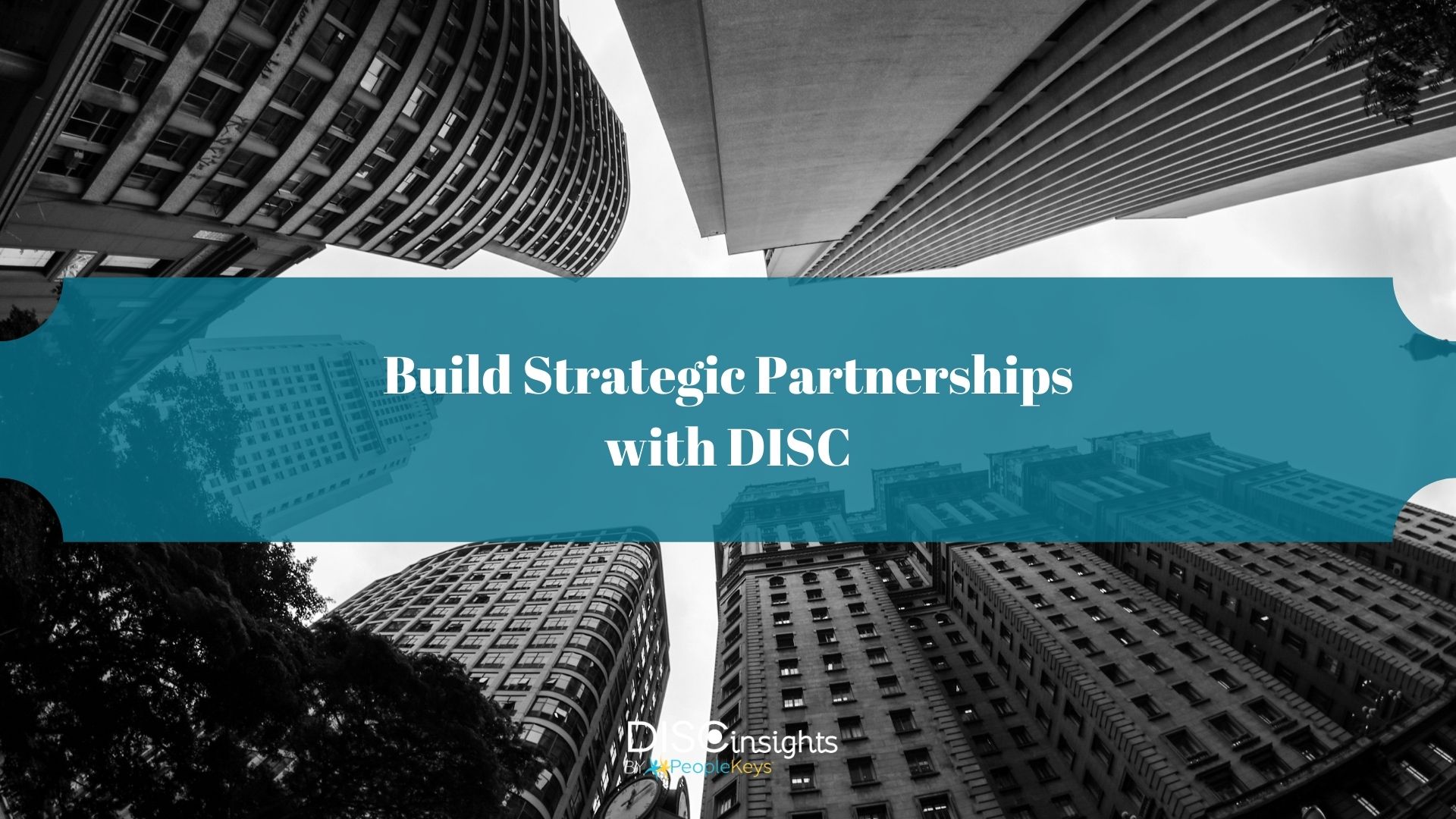 Build Strategic Partnerships with DISC