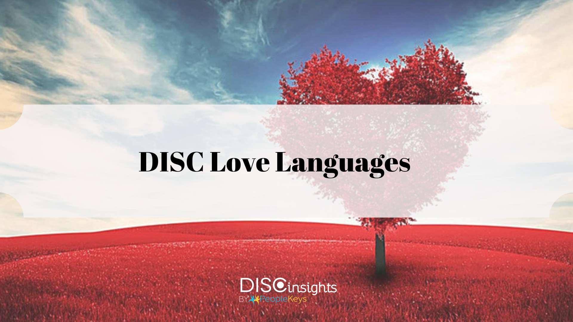 DISC Love Languages