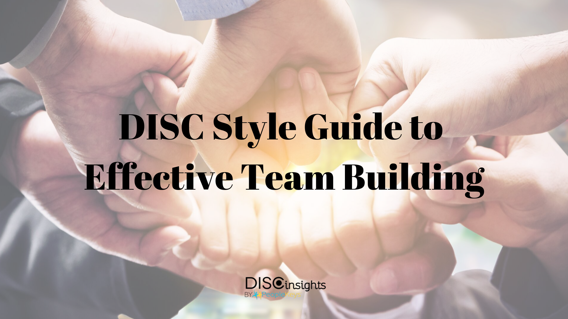 DISC Style Guide to Effective Team Building