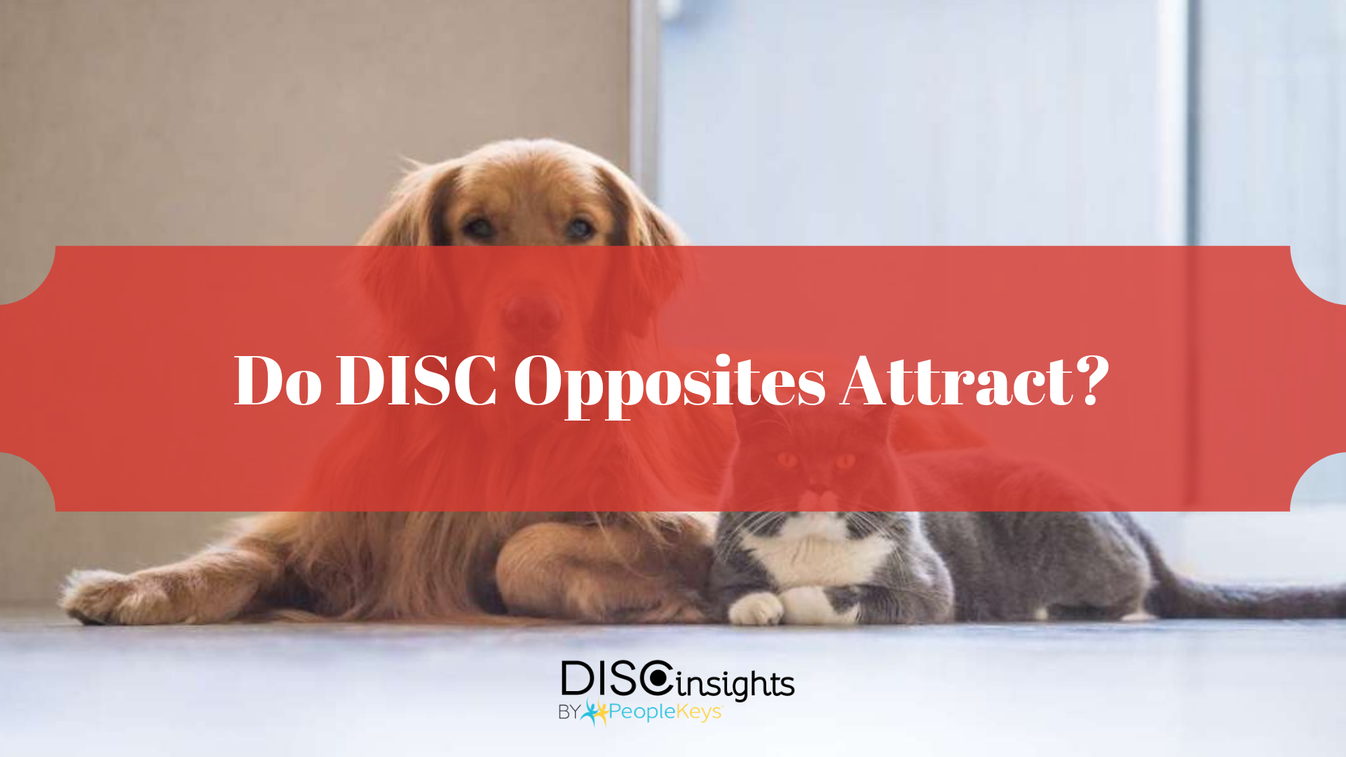 Do DISC Opposites Attract_