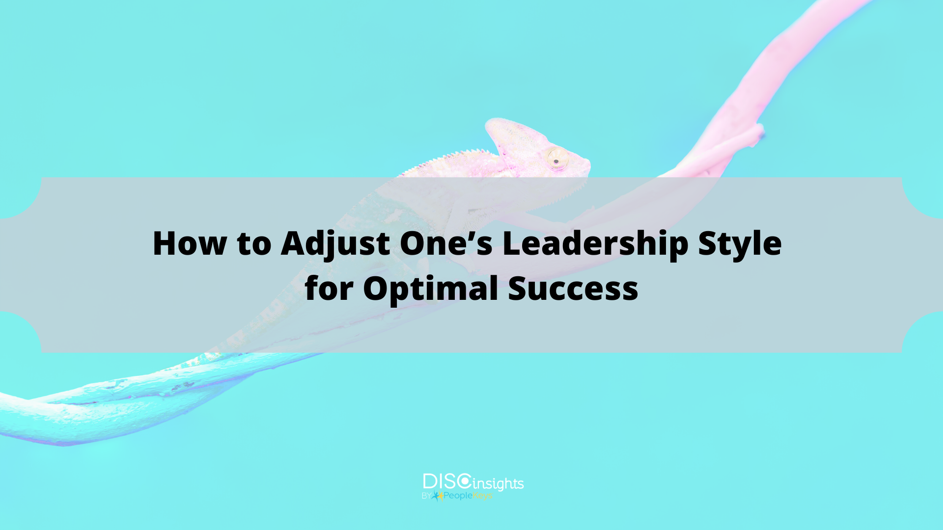 How to Adjust One’s Leadership Style for Optimal Success