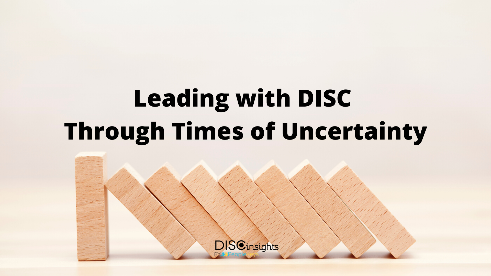 Crisis Leadership with DISC