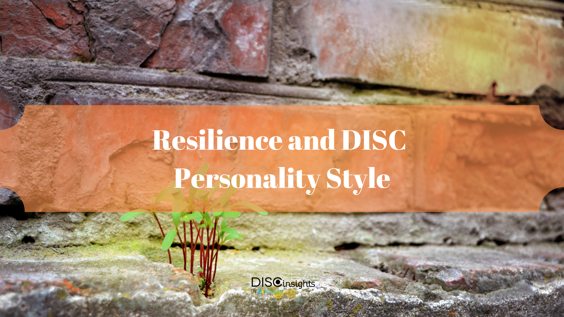 Resilience and DISC Personality Style