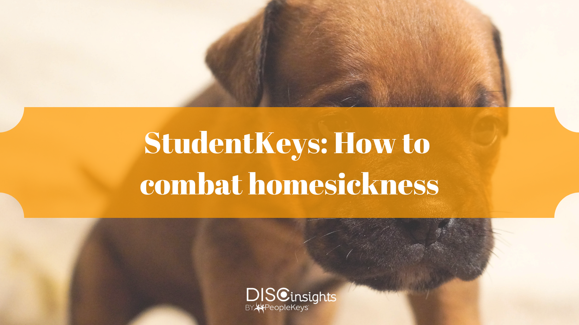 StudentKeys_ How to combat homesickness