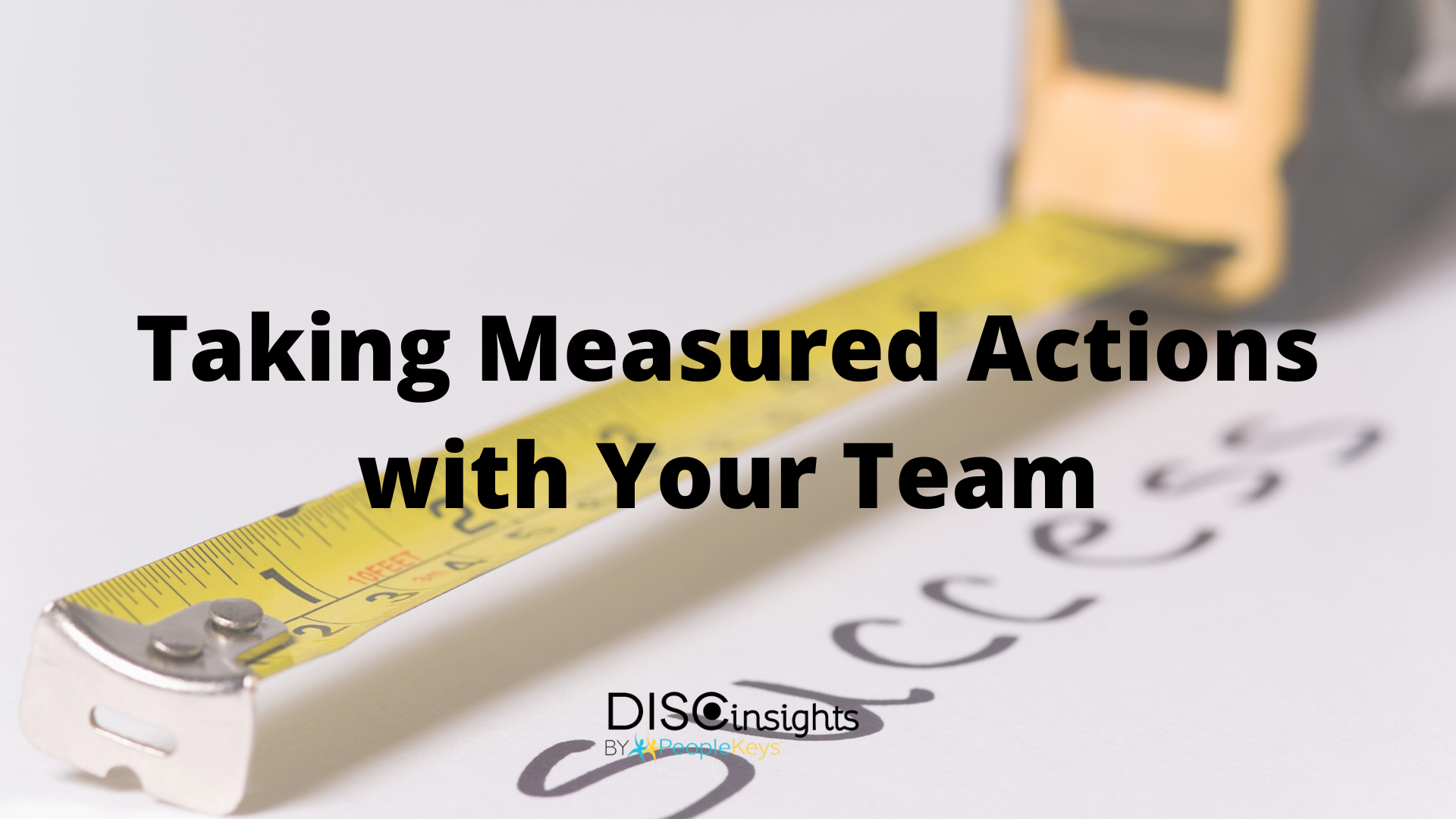 DISC-team-organization-measures