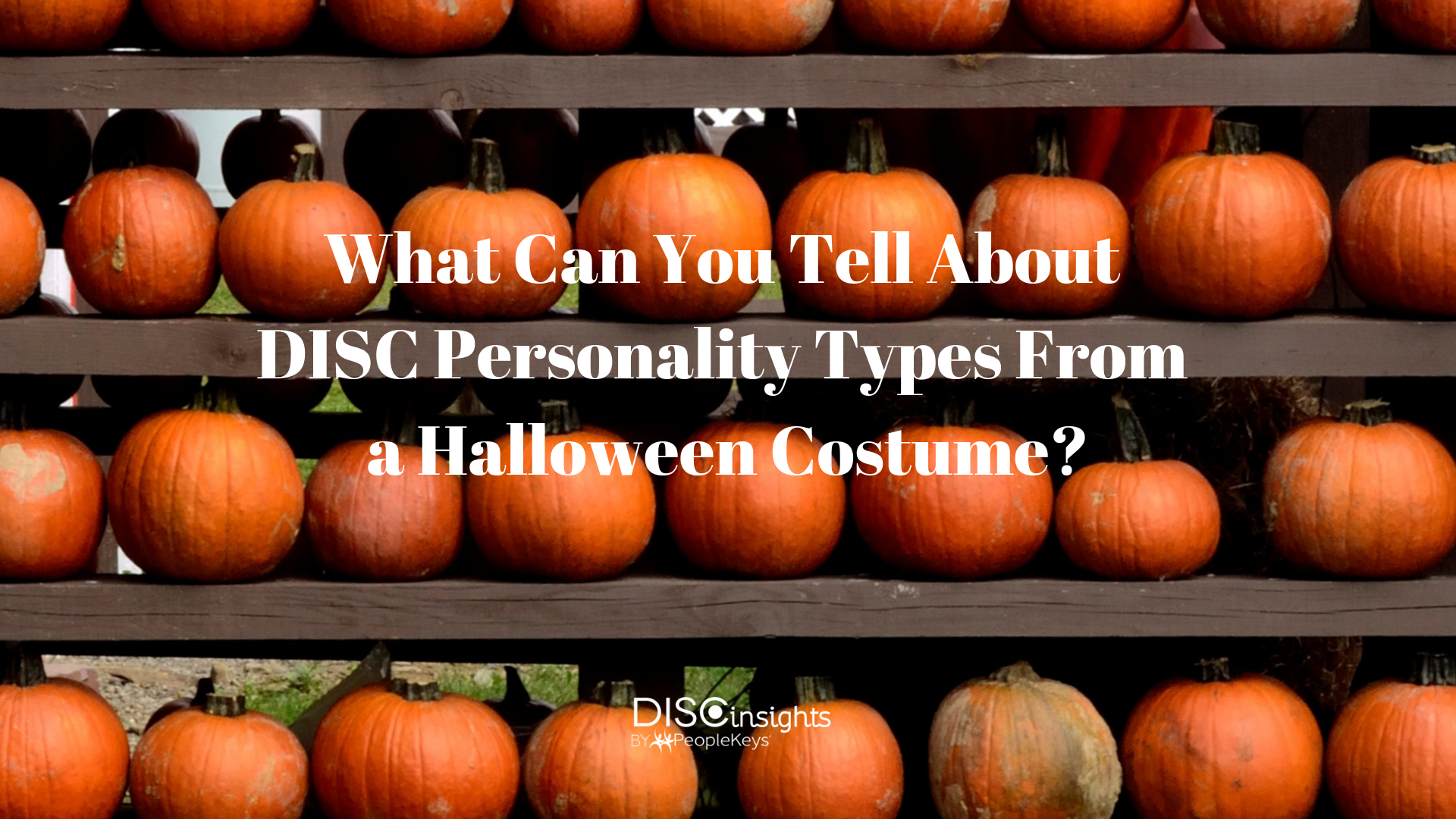 What Can You Tell About DISC Personality Types From a Halloween Costume_